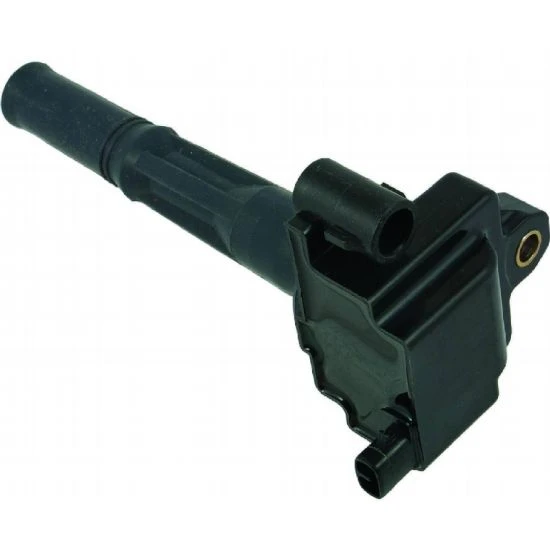 9091902213 Ignition Coil